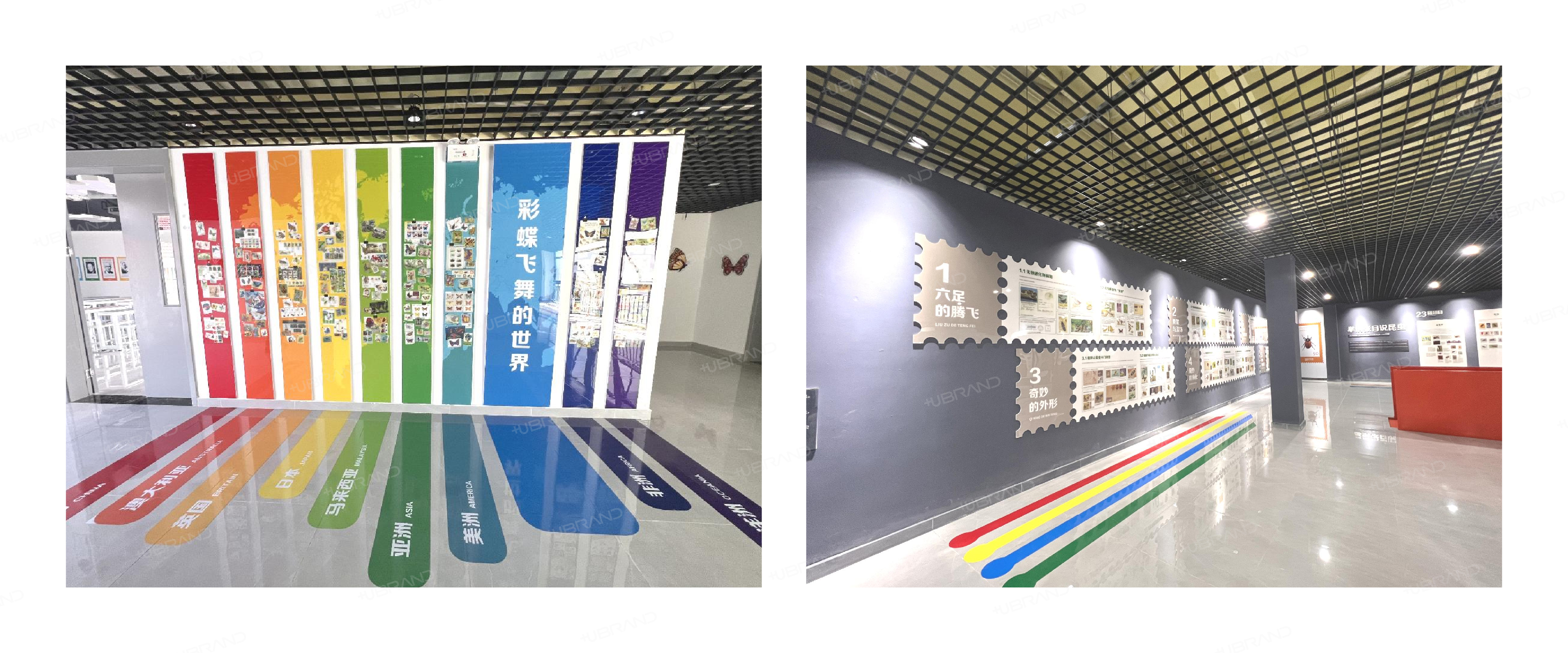 2-集合了！小小消防员_画板 1 副本 2.jpg