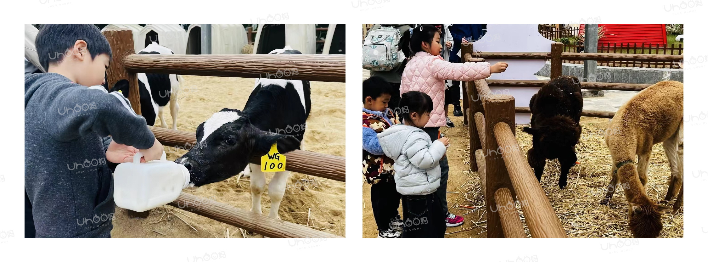 2-集合了！小小消防员_画板 1 副本.jpg